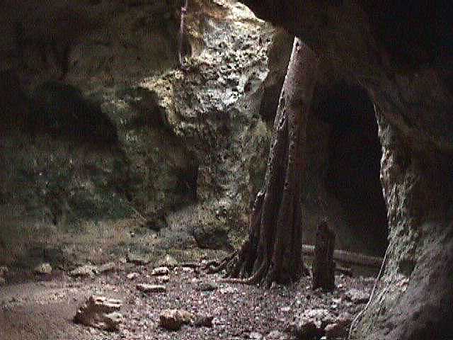 Cave